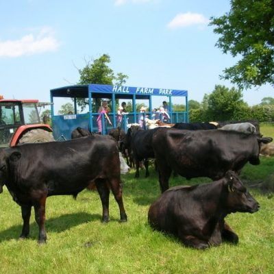 Hall Farm Park