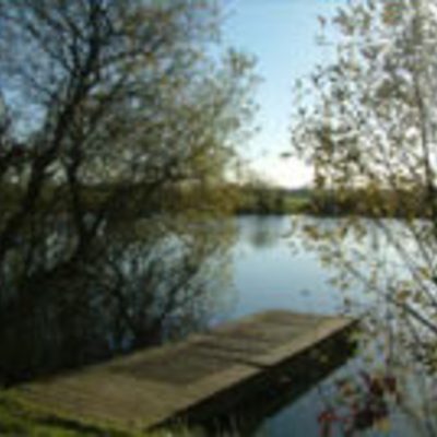 Claxby Fishery