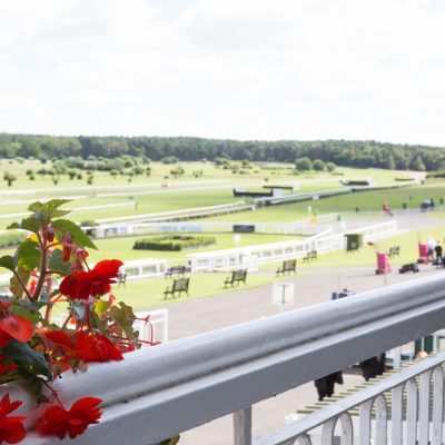 Market Rasen Racecourse