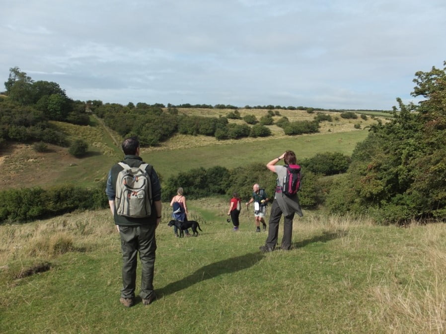 Walking in the Wolds