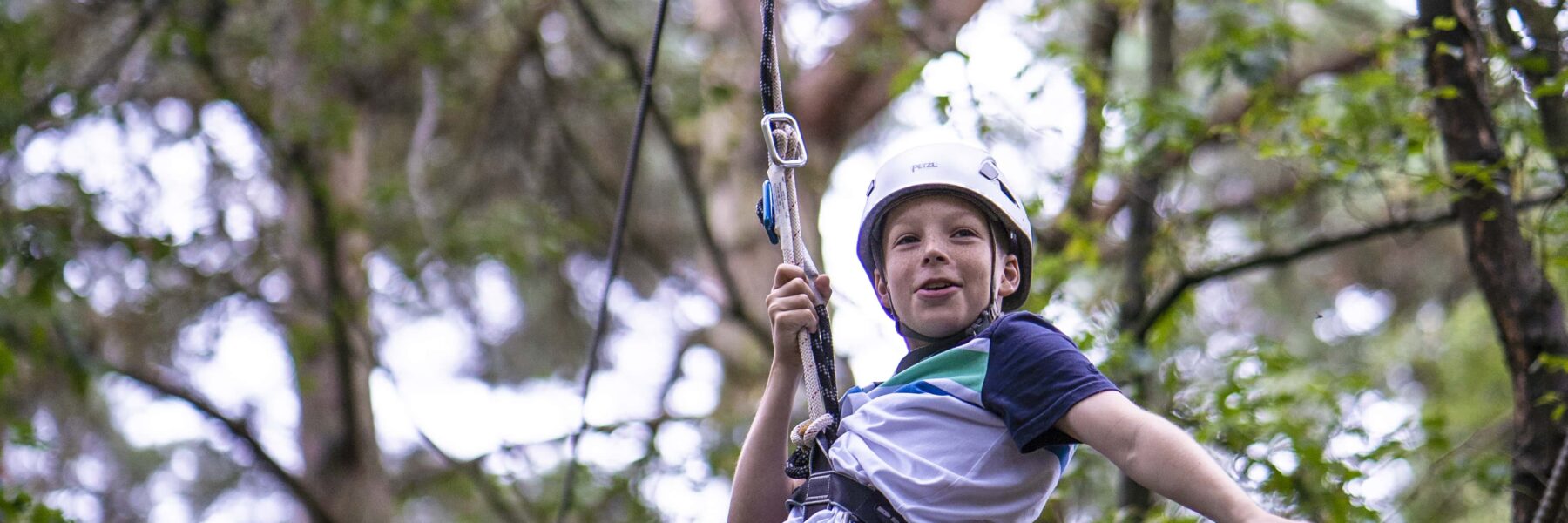 High Ropes at Wild Pines Park. Credit Ian Jubb