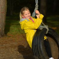 Tyre swing at Willingham Woods