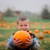 Pumpkin Picking this Half Term at Rand Farm Park