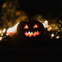 Pick your own pumpkin
