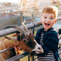 Boy with goat at Rand Farm Park