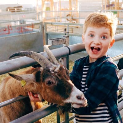 Boy with goat at Rand Farm Park