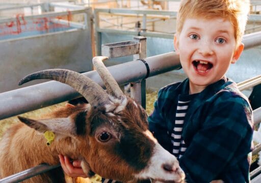Boy with goat at Rand Farm Park