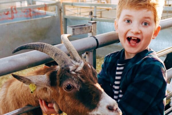 Boy with goat at Rand Farm Park