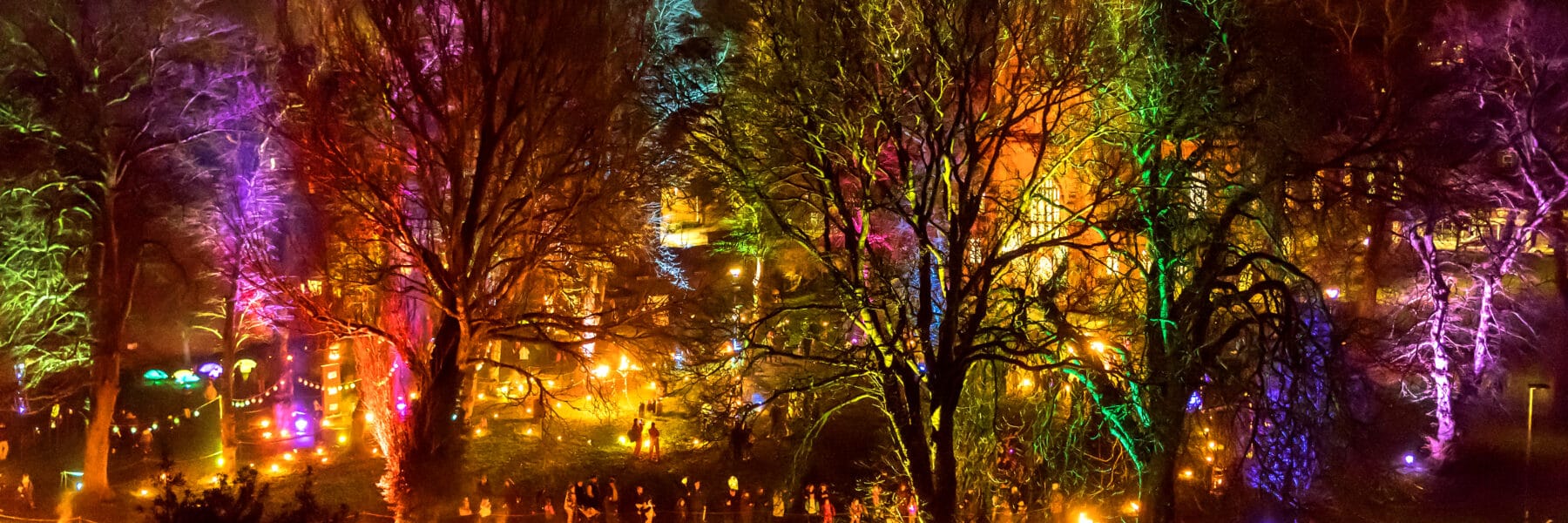 An aerial view of the fire garden during Illuminate 2026