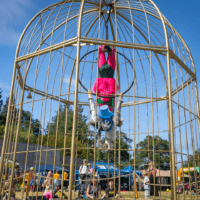A performer hangs upside down inside a large gold birdcage installation, wearing a bright pink and green costume and a blue hat, suspended from a hoop above a festival crowd in a sunny outdoor setting.