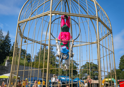 A performer hangs upside down inside a large gold birdcage installation, wearing a bright pink and green costume and a blue hat, suspended from a hoop above a festival crowd in a sunny outdoor setting.