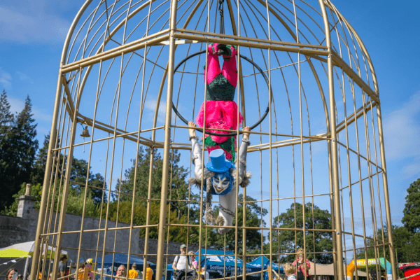 A performer hangs upside down inside a large gold birdcage installation, wearing a bright pink and green costume and a blue hat, suspended from a hoop above a festival crowd in a sunny outdoor setting.