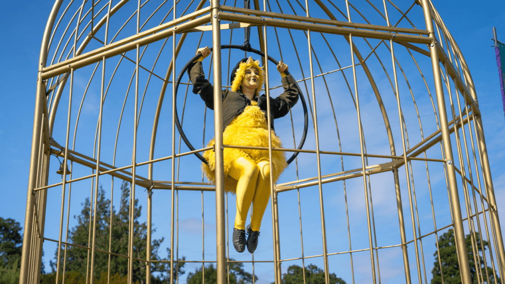 A performer dressed as a yellow bird sits on a hoop inside a large gold birdcage at an outdoor festival.