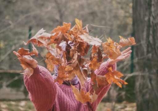 Enjoy October Half Term in Gainsborough